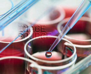 http://www.imagesource.com/stock-image/Close-up-of-liquid-in-pipette-51anb0013rm.html
